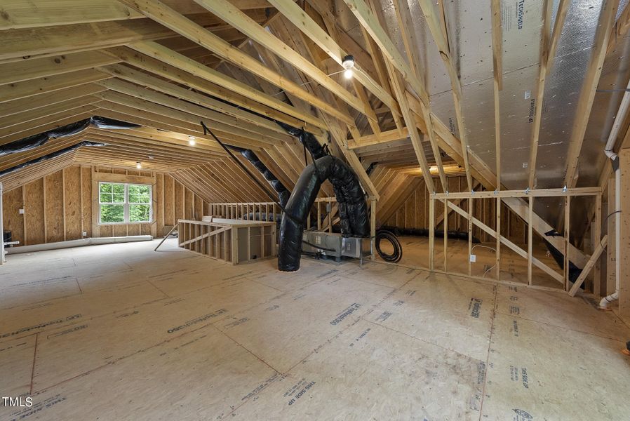 Walkup Attic