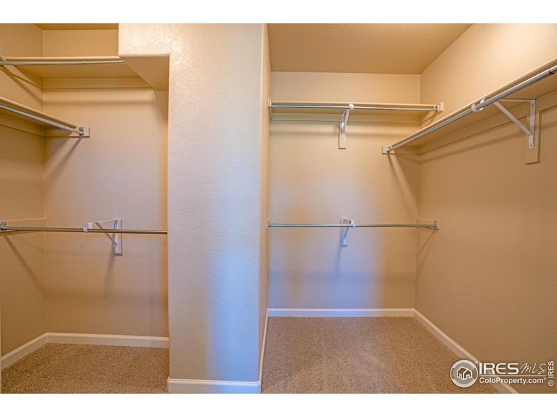 primary closet with built in storage