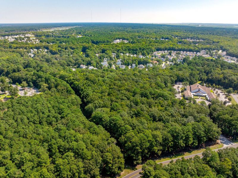 Natural landscape and outdoor views near  in Mount Pleasant (Image 9).