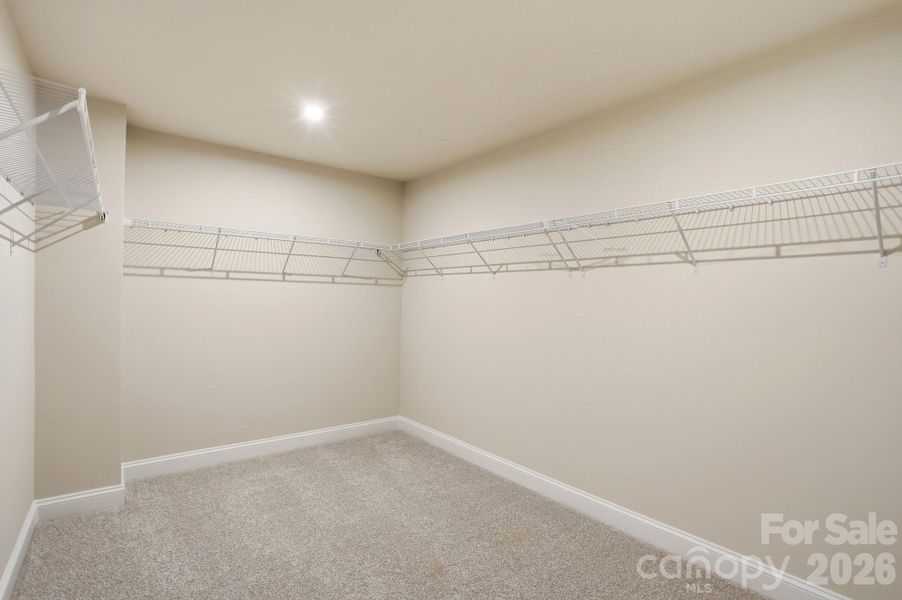 Digital Image Similar