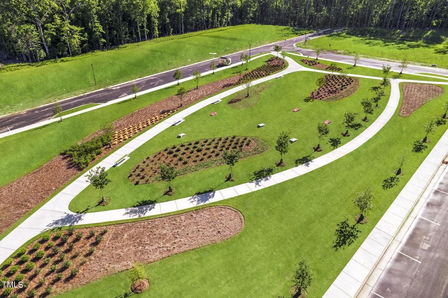 Pathway Park_1 Pathway Park_1