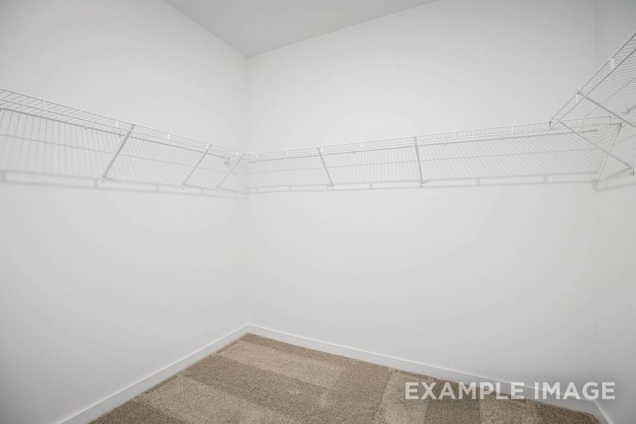Representative unfurnished interior of a home built from the The Franklin C by Davidson Homes LLC in Calista Farms, White House (Image 24). Representative unfurnished interior of a home built from the The Franklin C by Davidson Homes LLC in Calista Farms, White House (Image 24).