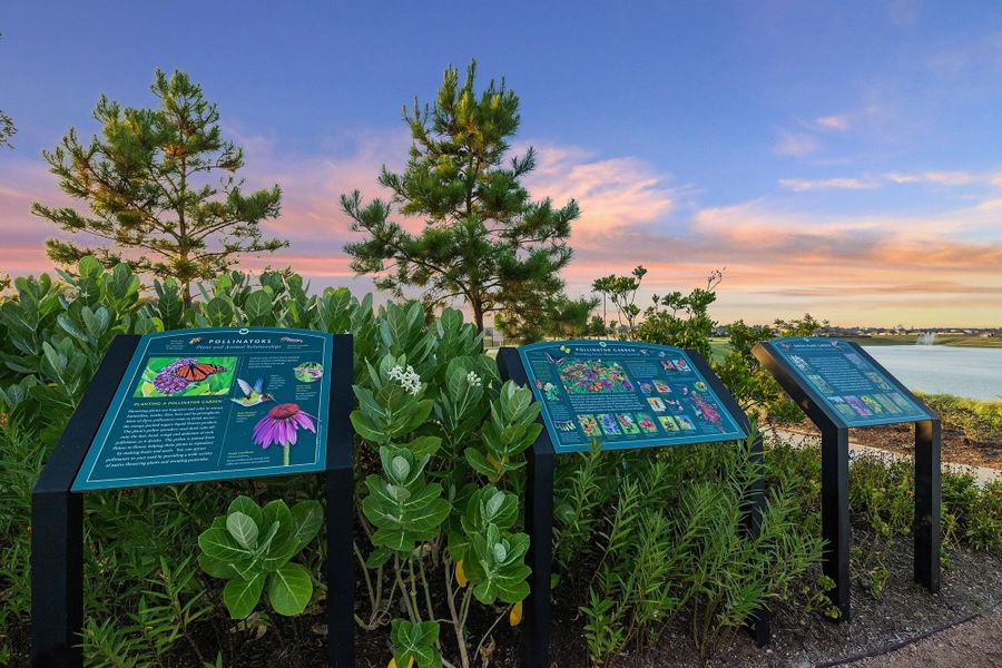 Image 21 of a home in The Canopies. Image 21 of a home in The Canopies.