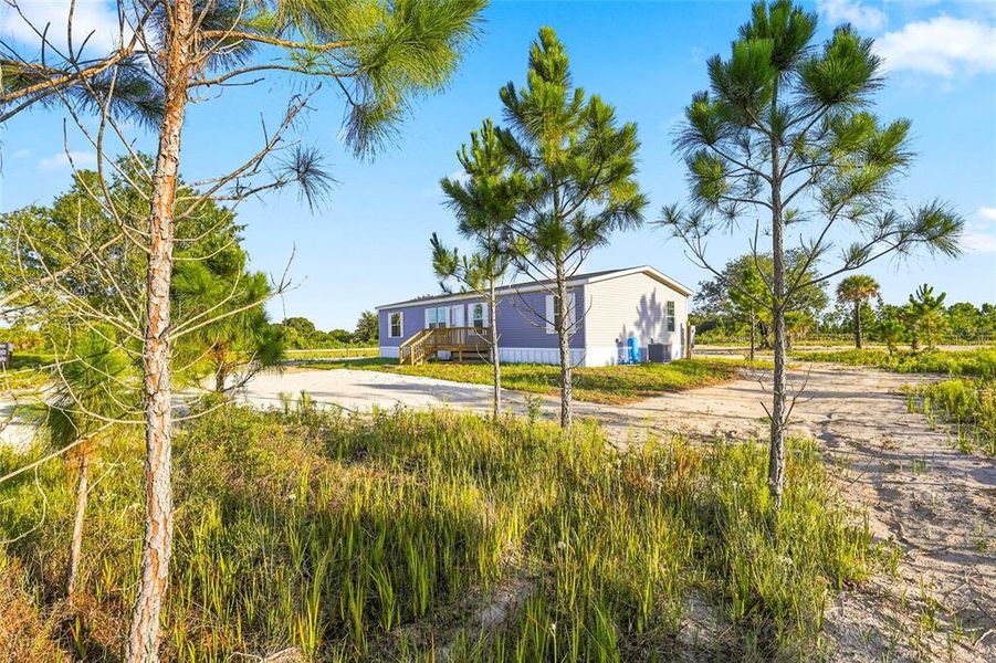 Natural landscape and outdoor views near  in Okeechobee (Image 37).