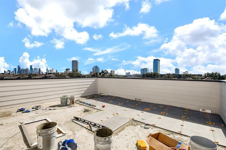 4th floor Roof Deck with Views of both Downtown and Galleria.