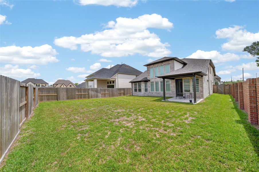 Big Back Yard