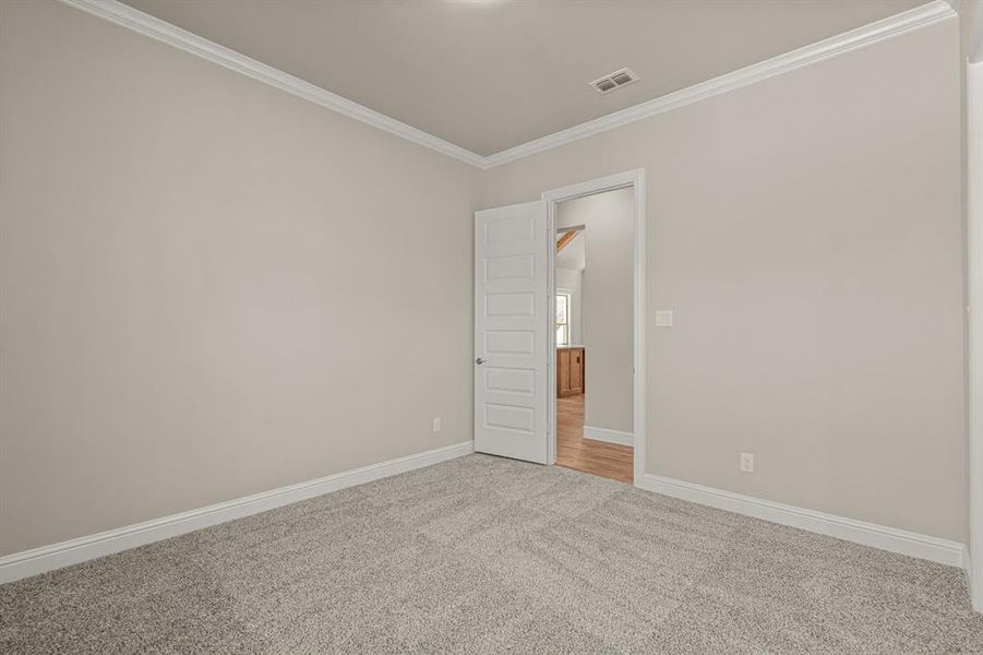 Empty room with crown molding and carpet floors