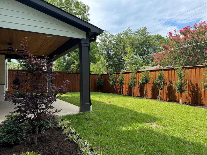 View of yard featuring ceiling fan