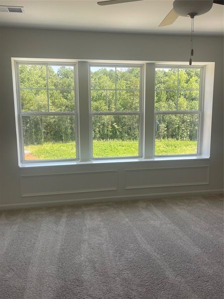 Spacious, unfurnished interior of a new home in Springwood Grove, Central (Image 33). Spacious, unfurnished interior of a new home in Springwood Grove, Central (Image 33).