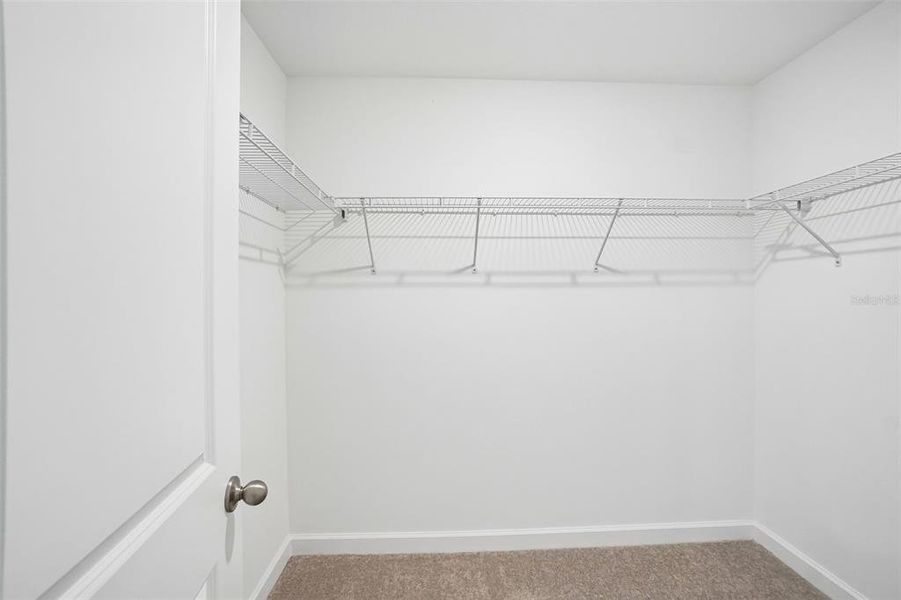 Spacious, unfurnished interior of a new home in , Tampa (Image 16).