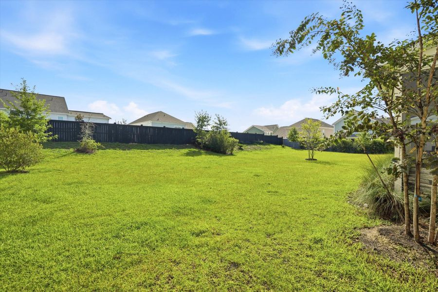 Natural landscape and outdoor views near Nexton - Midtown - The Village Collection in Summerville (Image 42).