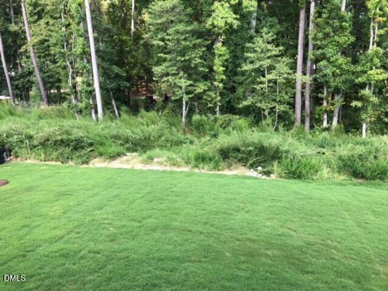 Home is under construction. Wooded views