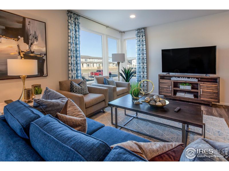 EXAMPLE PHOTO: LIVING ROOM