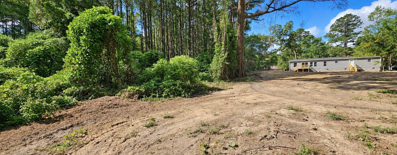 Natural landscape and outdoor views near  in Eutawville (Image 9).