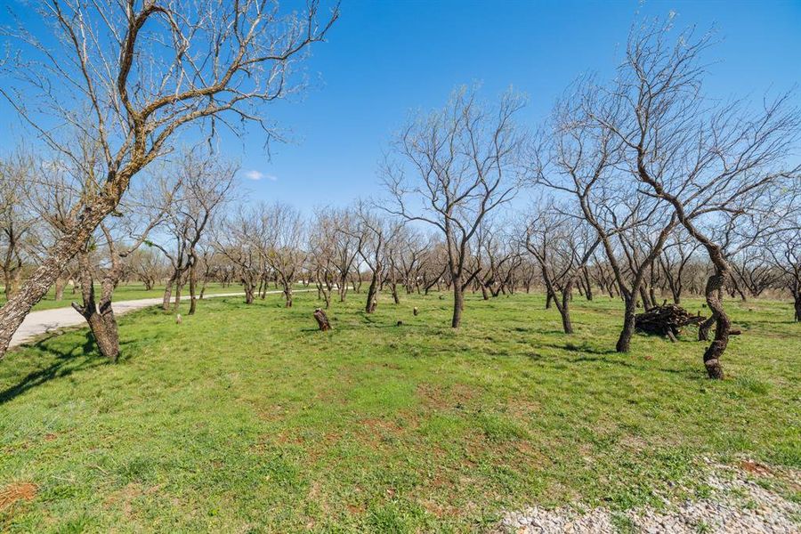 Natural landscape and outdoor views near  in Early (Image 30).