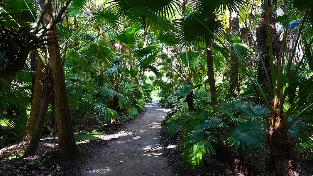Natural landscape and outdoor views near Veranda Oaks in Port St. Lucie (Image 78).