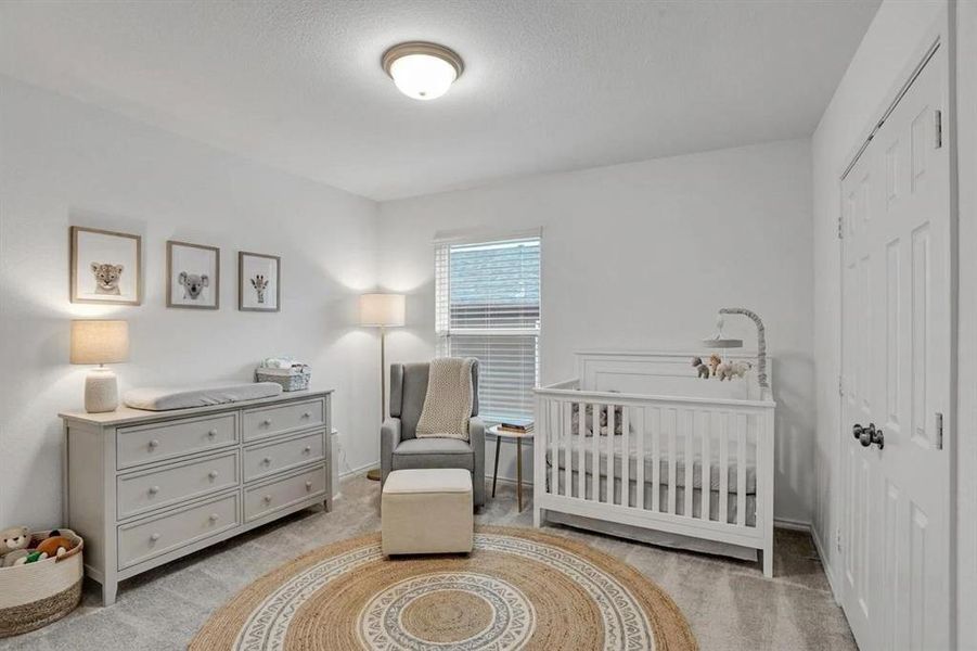 White painted walls with light gray carpet flooring