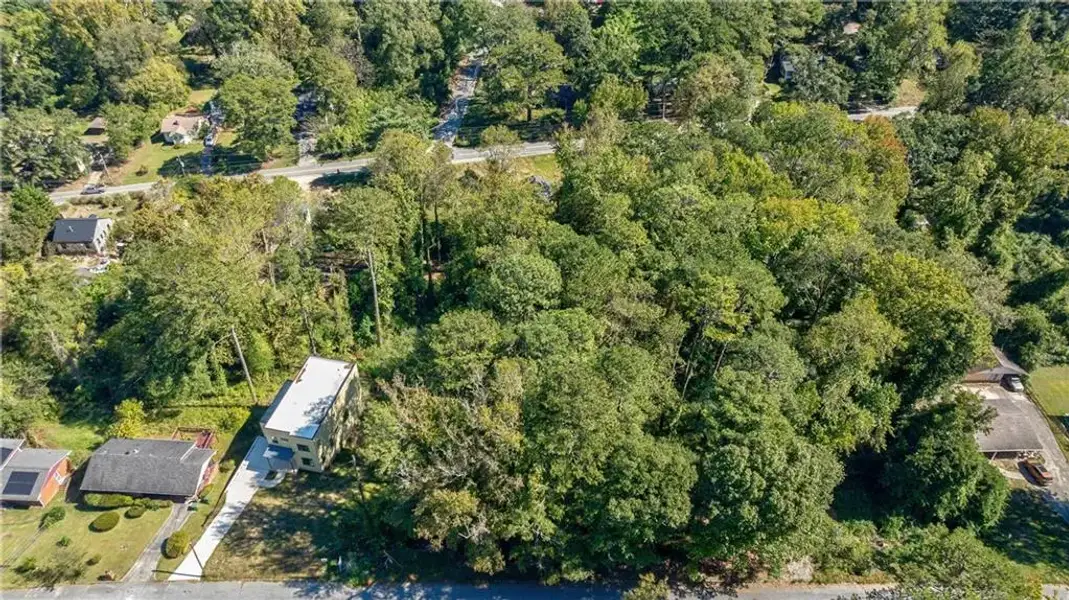 Natural landscape and outdoor views near  in Hapeville (Image 40).