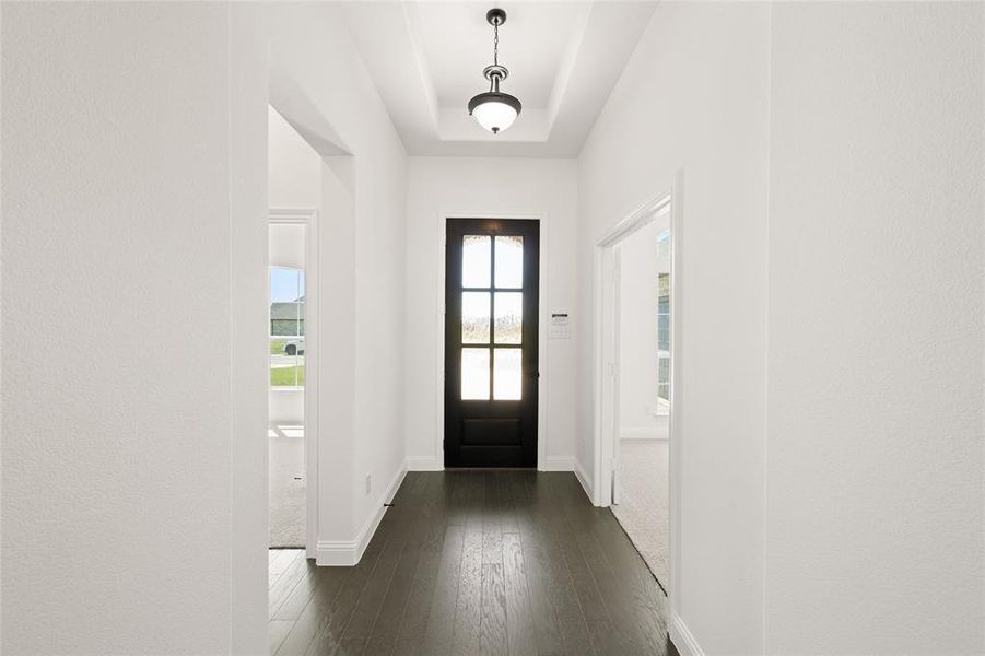 345 Paddle Boat- Entry-1 345 Paddle Boat- Entry-1