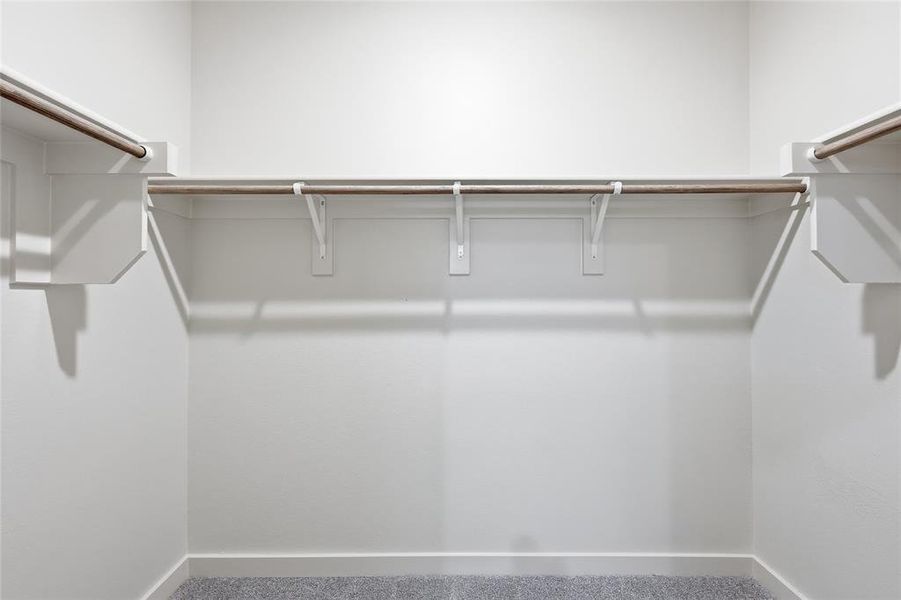 Walk in closet featuring carpet