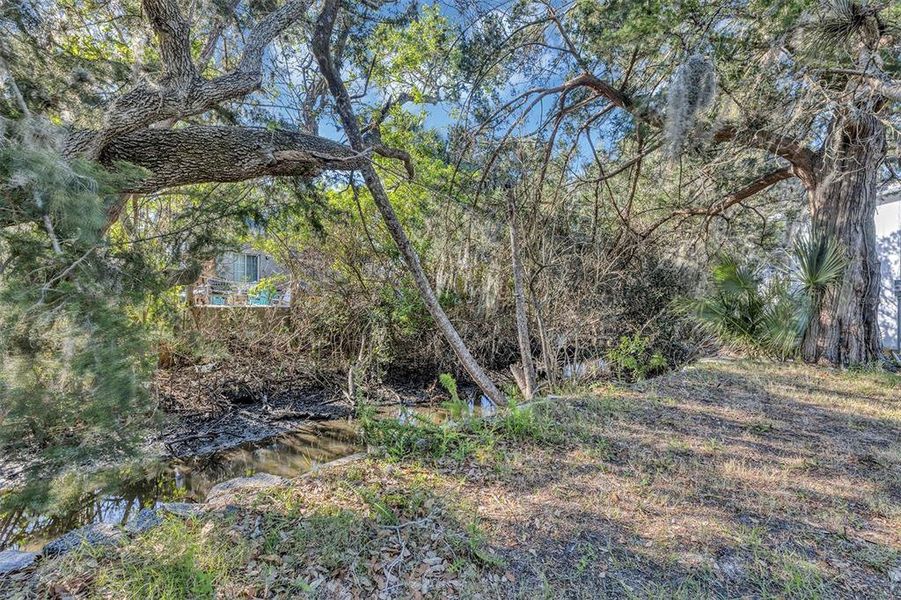 Natural landscape and outdoor views near  in New Smyrna Beach (Image 36).