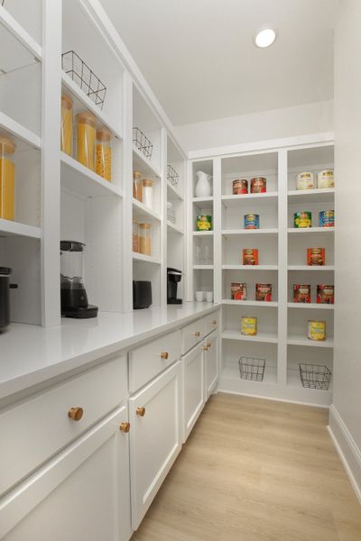 The Eastland II Pantry