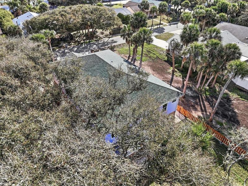 Natural landscape and outdoor views near  in Flagler Beach (Image 56).
