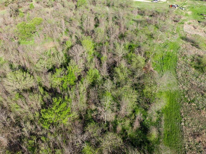 Natural landscape and outdoor views near  in Grandview (Image 16).