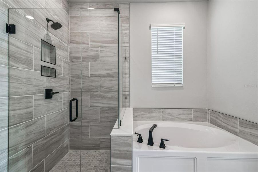 Furnished interior view inside a new home in The Peninsula at Rhodine Lake, Riverview (Image 19). Furnished interior view inside a new home in The Peninsula at Rhodine Lake, Riverview (Image 19).