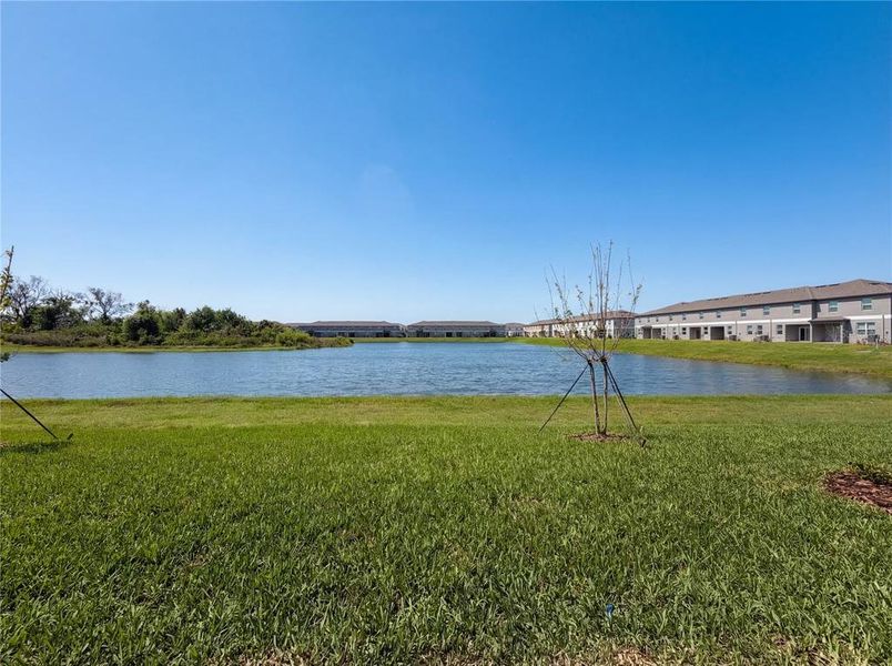 Natural landscape and outdoor views near in Parrish (Image 30). Natural landscape and outdoor views near in Parrish (Image 30).