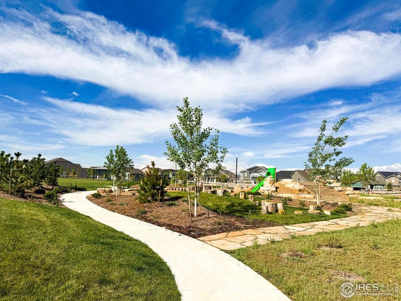 Community amenities in The Lakes at Centerra - Discovery, Loveland (Image 29).