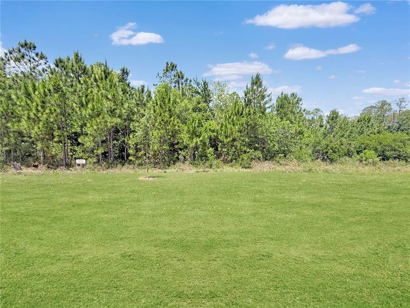 Natural landscape and outdoor views near  in St. Cloud (Image 12).