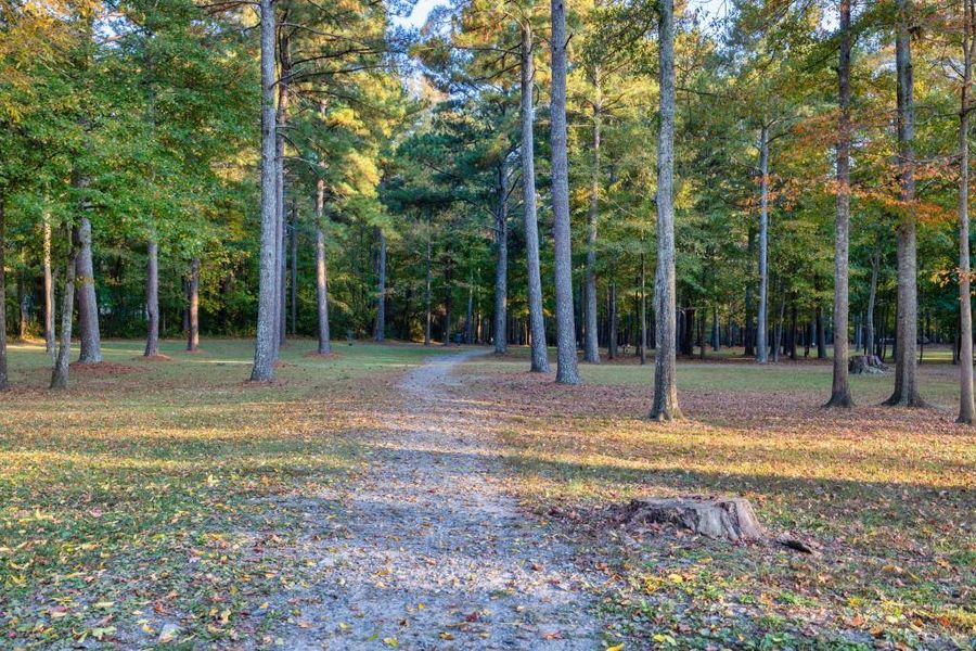 Natural landscape and outdoor views near Medlock Park in Austell (Image 44).