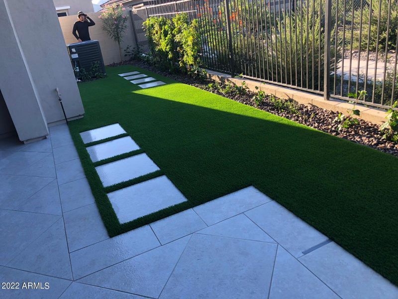 grassy backyard grassy backyard