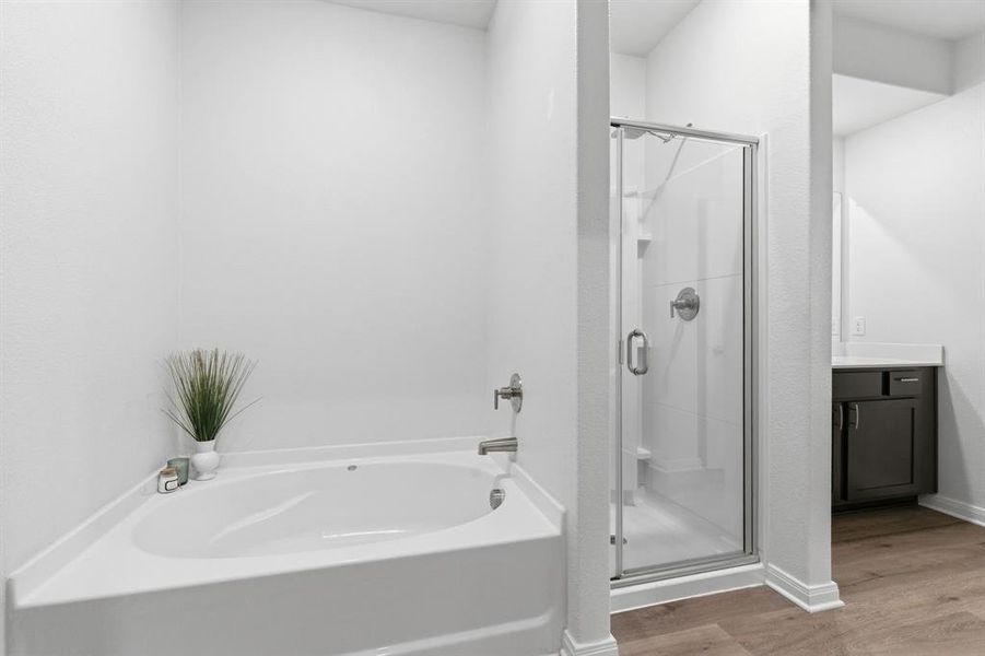 The bathroom features a white built-in bathtub, a walk-in shower with a glass enclosure, and a vanity with a dark cabinet and a light-colored countertop