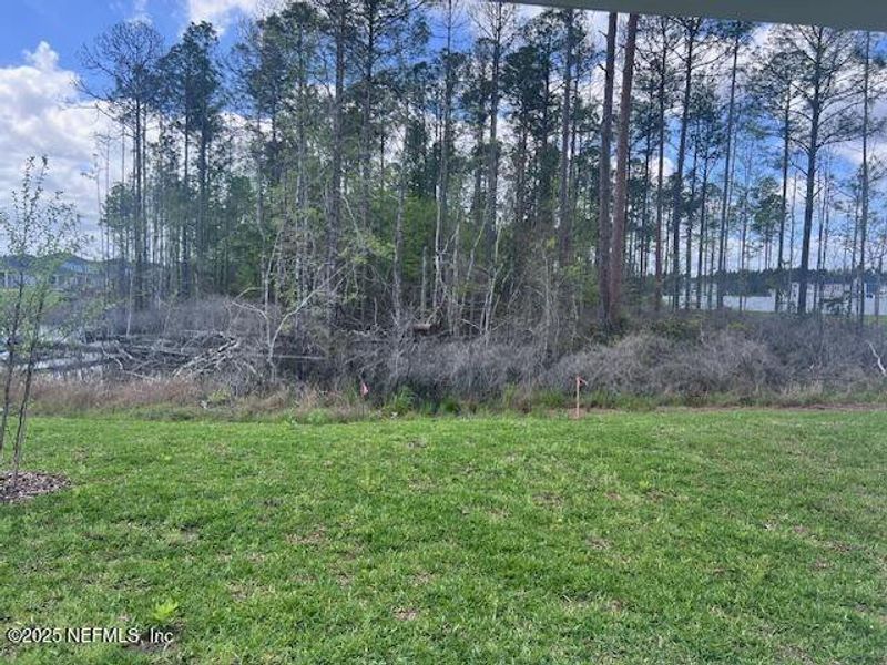 Natural landscape and outdoor views near Brook Forest - Single Family Homes in St. Augustine (Image 17).