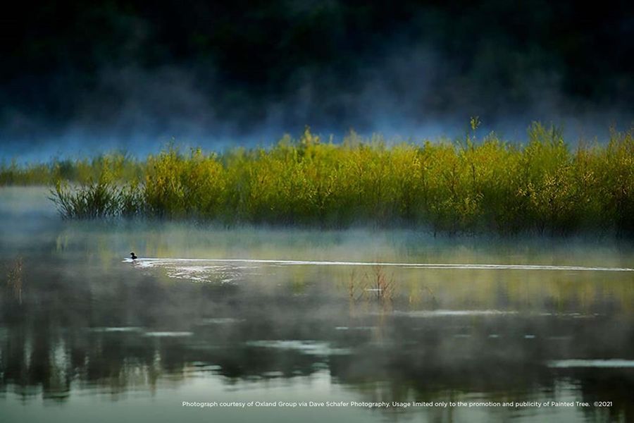 Image 4 of a home in Painted Tree Woodland West – Village.