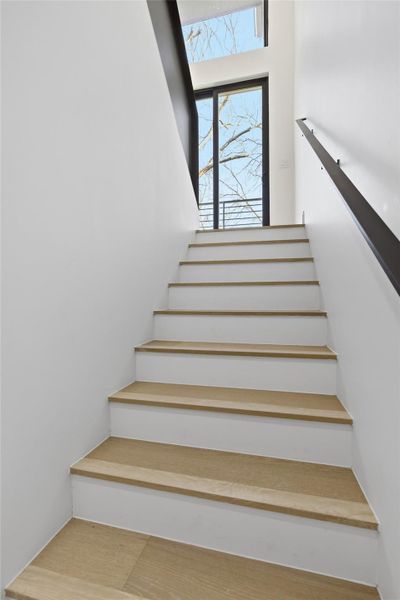 Stairwell from bottom floor.