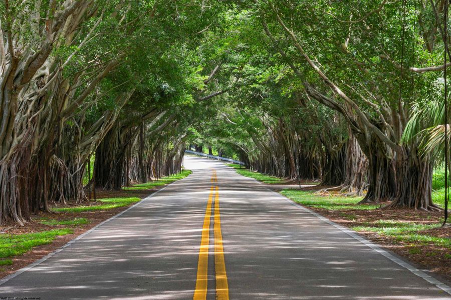 Natural landscape and outdoor views near  in Jupiter Island (Image 55).