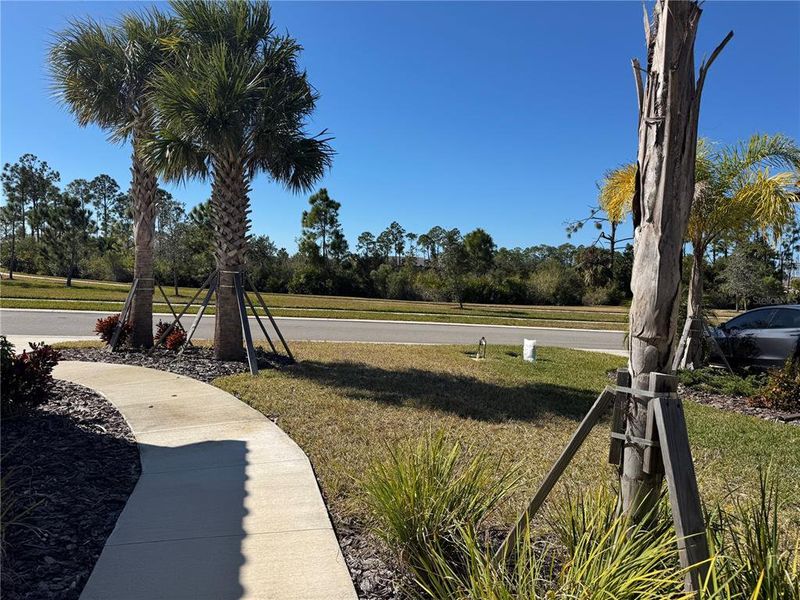 Natural landscape and outdoor views near  in Nokomis (Image 34).
