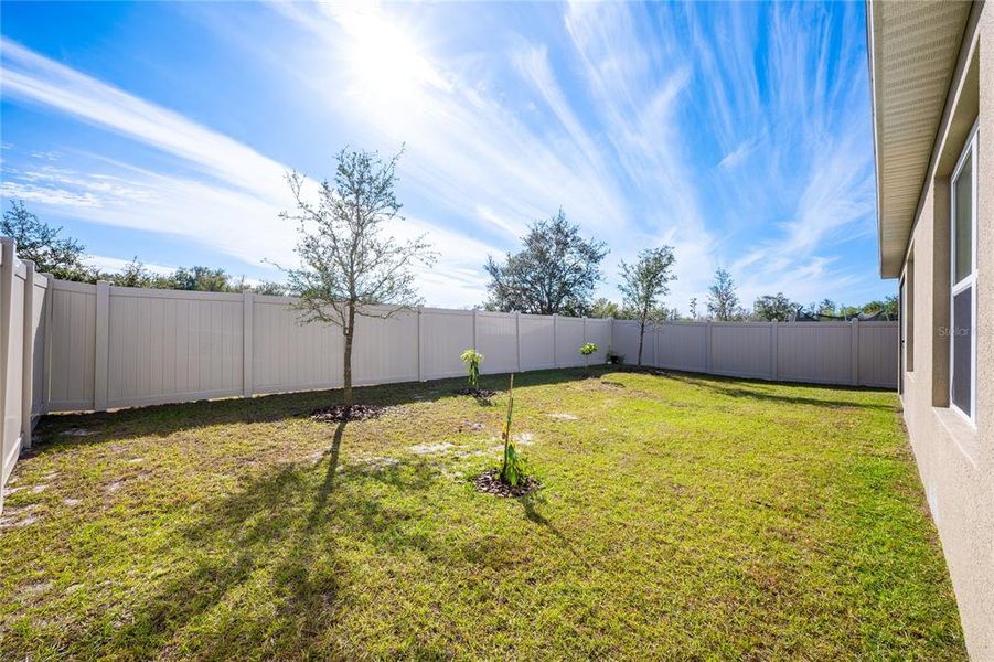 FENCED BACKYARD.