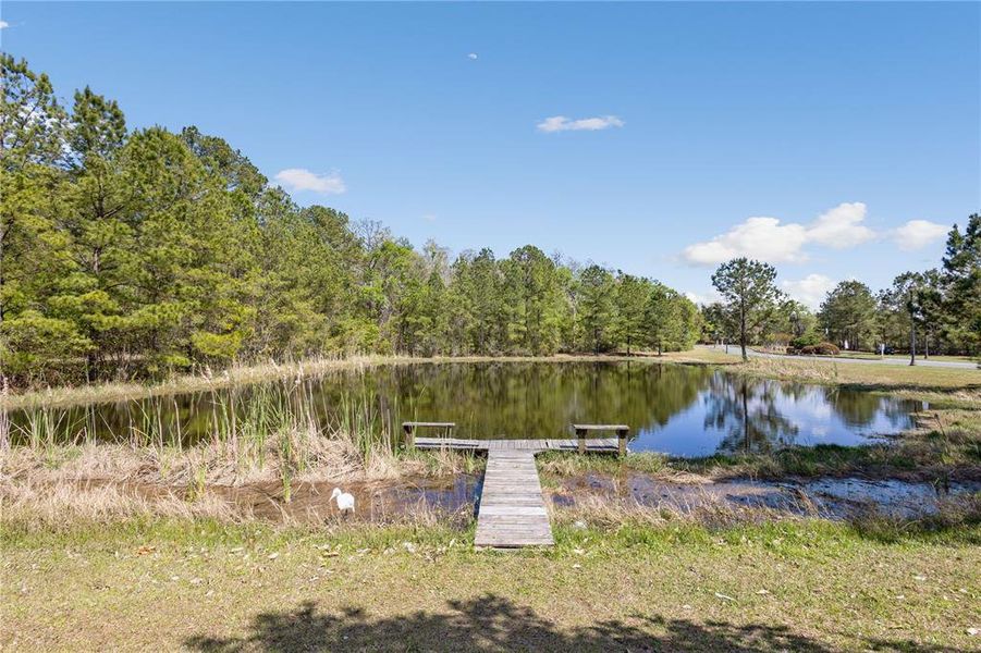 Natural landscape and outdoor views near The Preserve at Laurel Lake in Lake City (Image 13). Natural landscape and outdoor views near The Preserve at Laurel Lake in Lake City (Image 13).