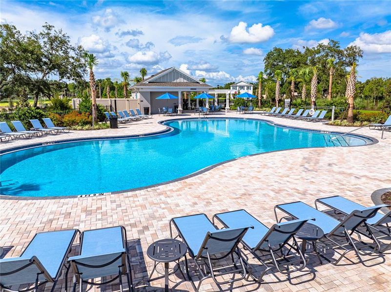 Community amenities in Palm Wind, Hudson (Image 35).