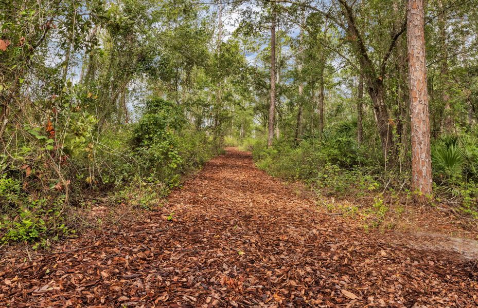 Natural landscape and outdoor views near Double Branch in Middleburg (Image 31).