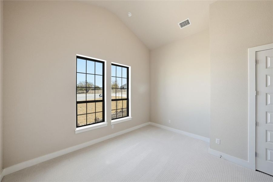 Carpeted empty room with baseboards and vaulted ceiling