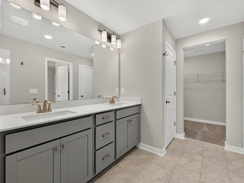 Owner's Bath