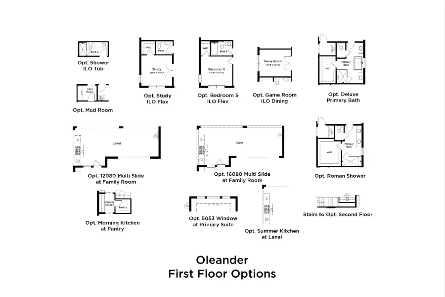 2D floor plan layout for the Oleander by DRB Homes in Preserve at Old Mill, Wesley Chapel, FL (Image 4).