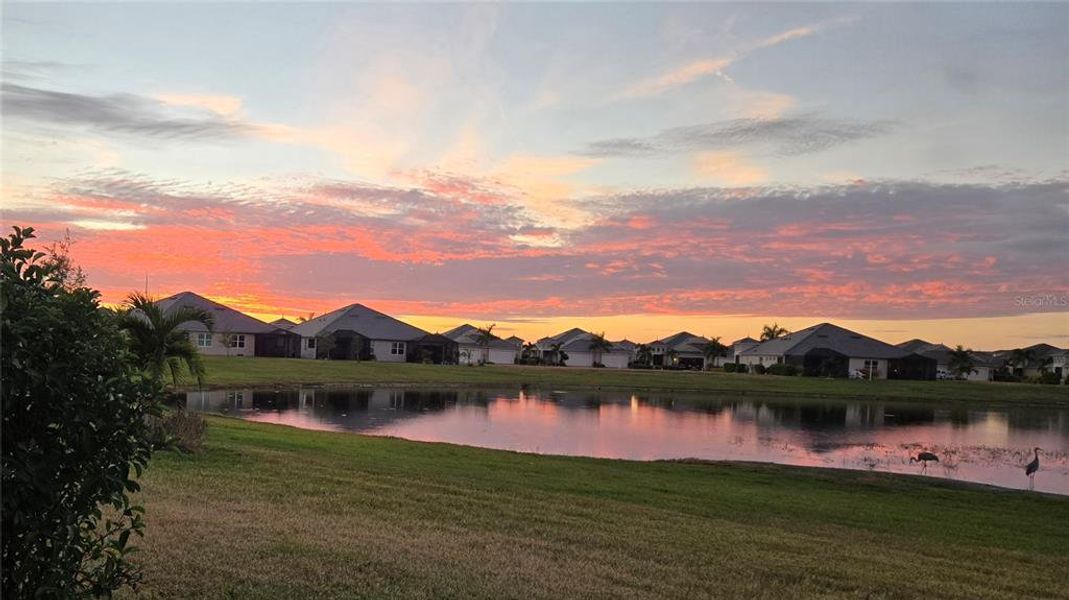Natural landscape and outdoor views near in Bradenton (Image 27). Natural landscape and outdoor views near in Bradenton (Image 27).
