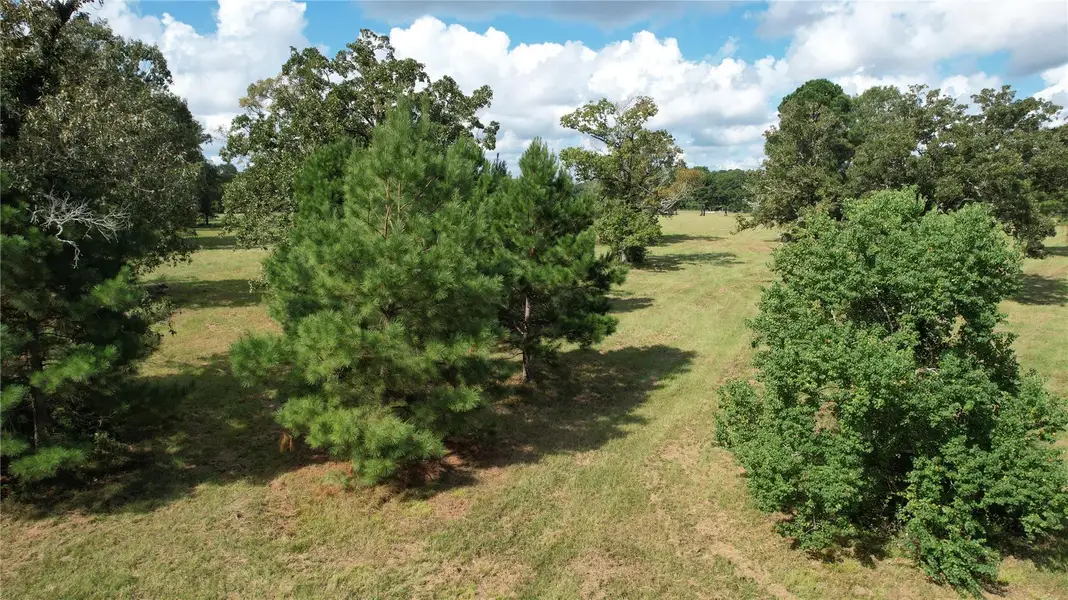 Natural landscape and outdoor views near  in New Waverly (Image 4).