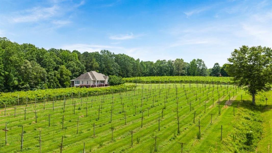 Image 81 of a home in Northwoods at Mirror Lake. Image 81 of a home in Northwoods at Mirror Lake.